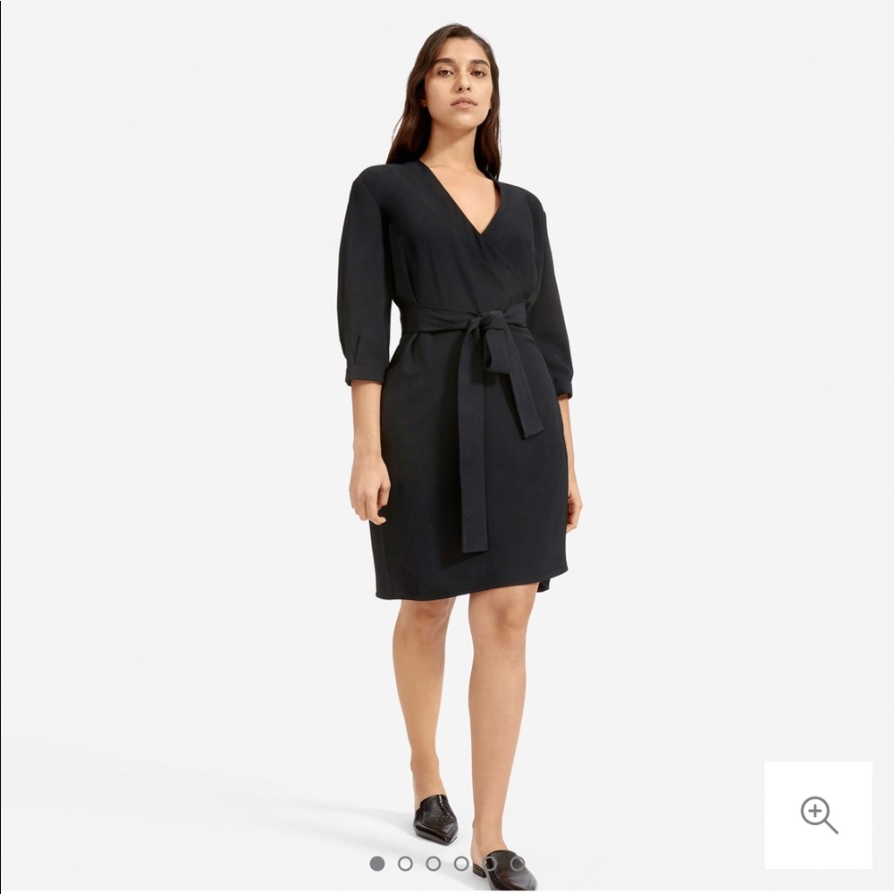 Everlane Goweave Longsleeve Mini Wrap Dress
